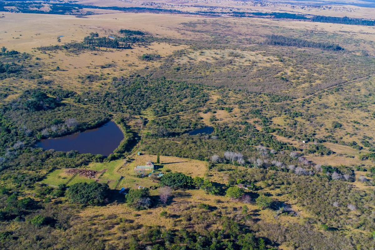 An expansive aerial view of a rural farm property featuring natural landscape, open grazing land, and a small private dam.