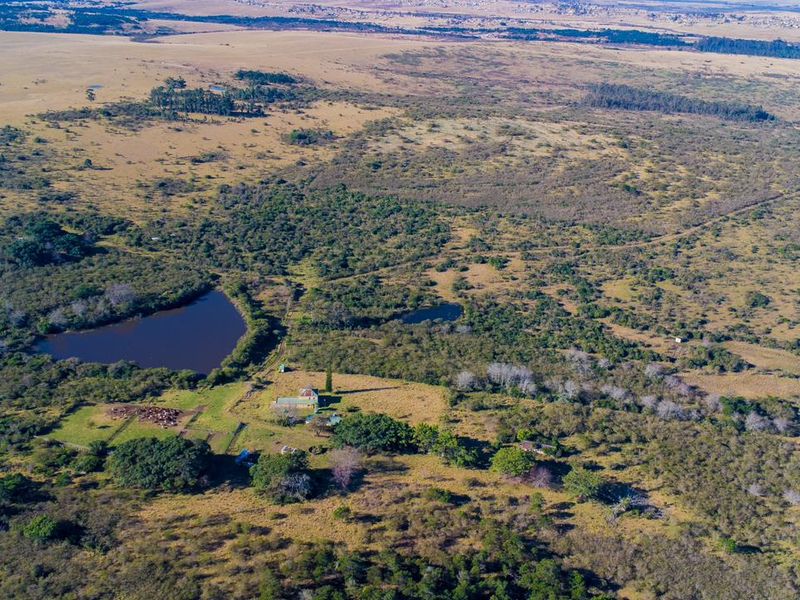 An expansive aerial view of a rural farm property featuring natural landscape, open grazing land, and a small private dam.