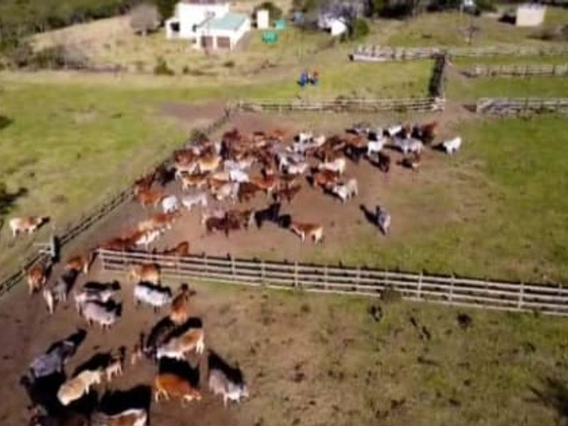 Aerial view of the farm property featuring extensive grazing paddocks, livestock enclosures, and established fencing infrastructure across the rural landscape.
