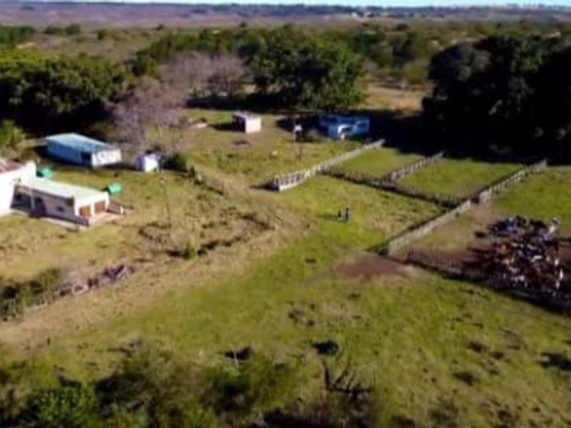 Aerial view of a farm property featuring a main dwelling, outbuildings, and fenced livestock enclosures set within a rural landscape.