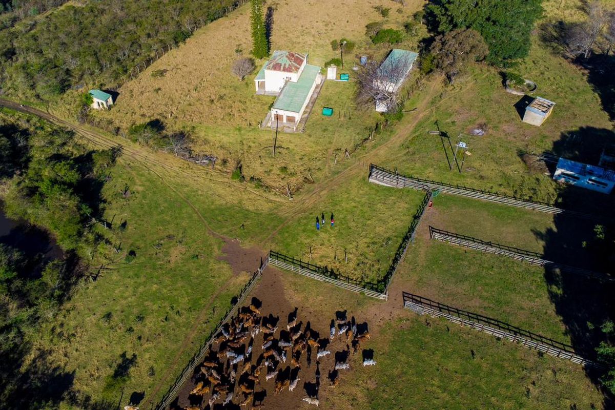 Aerial view of a farm property featuring multiple outbuildings, fenced livestock paddocks, and open grazing land.