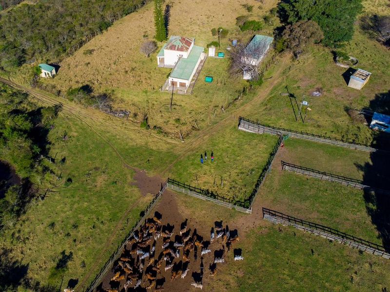 Aerial view of a farm property featuring multiple outbuildings, fenced livestock paddocks, and open grazing land.