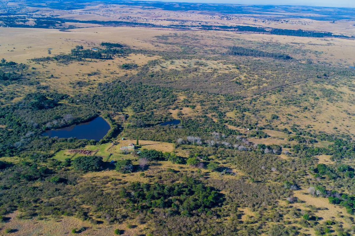 An expansive aerial view of the farm property, showcasing the vast landscape, natural vegetation, and existing water features on the land.
