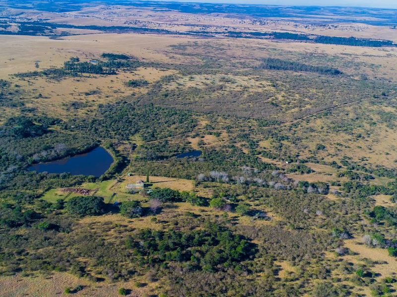 An expansive aerial view of the farm property, showcasing the vast landscape, natural vegetation, and existing water features on the land.