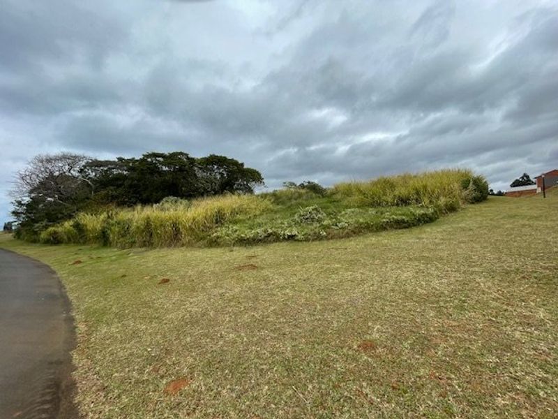 A view of a vacant residential plot featuring natural grassland and mature trees, situated adjacent to a paved road.