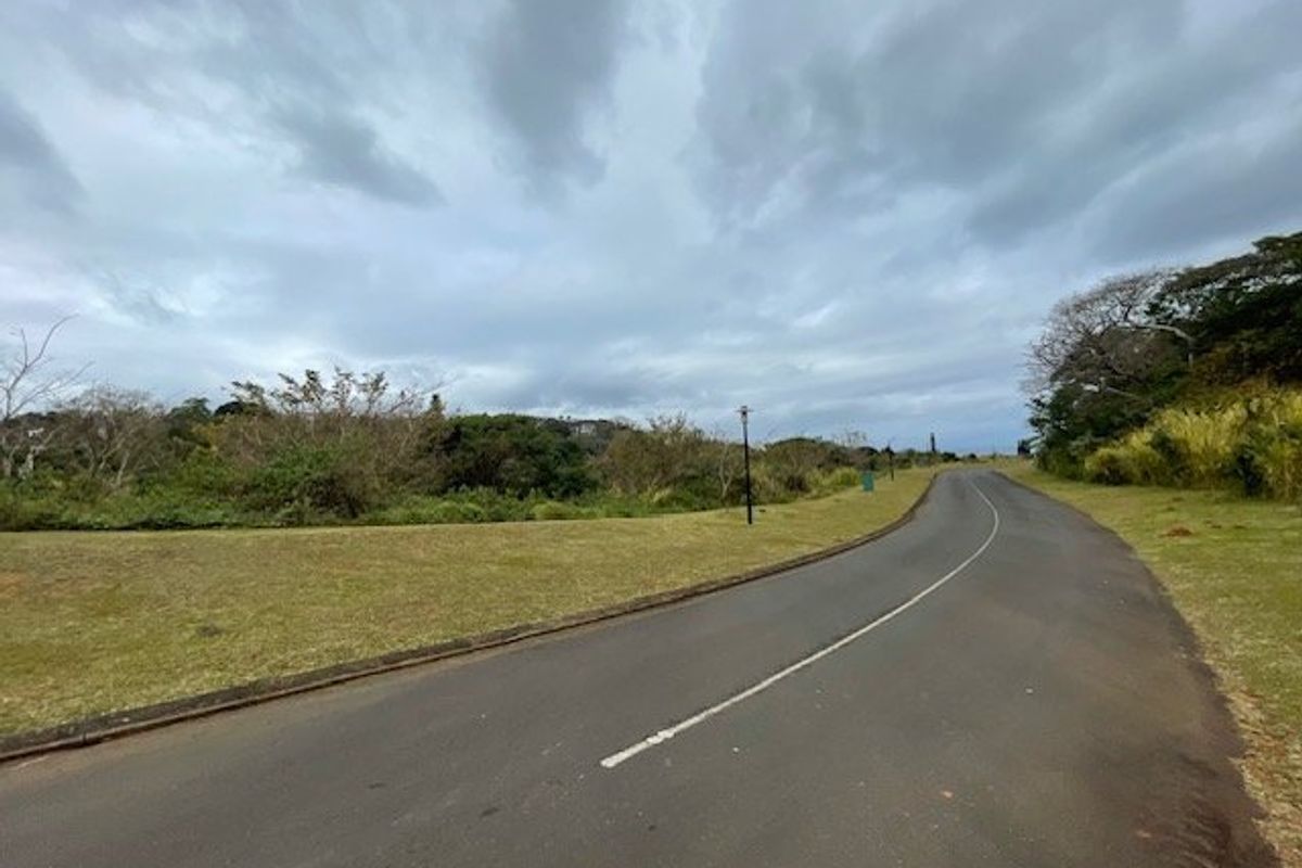 A view of the paved residential street and surrounding landscaped verge within the estate.