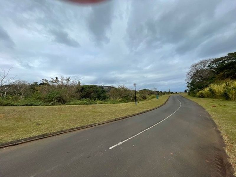 A view of the paved residential street and surrounding landscaped verge within the estate.