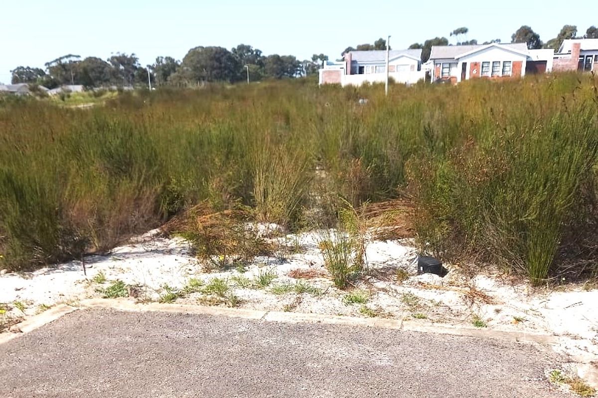 A vacant residential plot featuring a paved driveway entrance and natural, overgrown vegetation, situated in a developed neighborhood.
