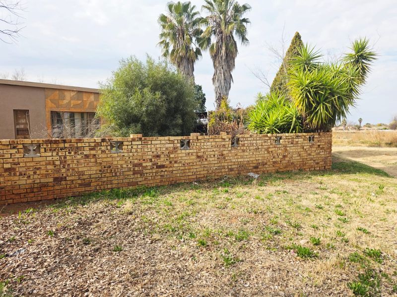A rear garden area featuring a face brick boundary wall with decorative concrete inserts and established palm trees.