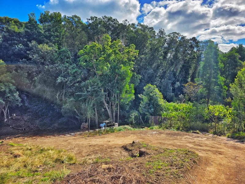 Prime Plot for Sale in Scenic Hoekwil Village - Photo 6