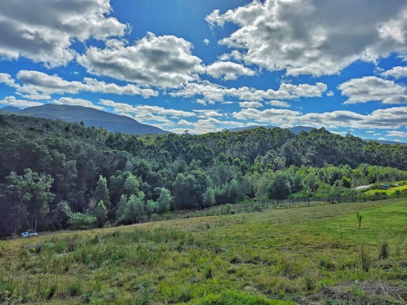 Prime Plot for Sale in Scenic Hoekwil Village - Photo 4