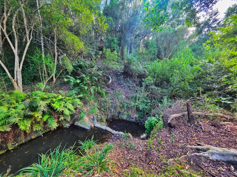 Prime Plot for Sale in Scenic Hoekwil Village - Photo 3