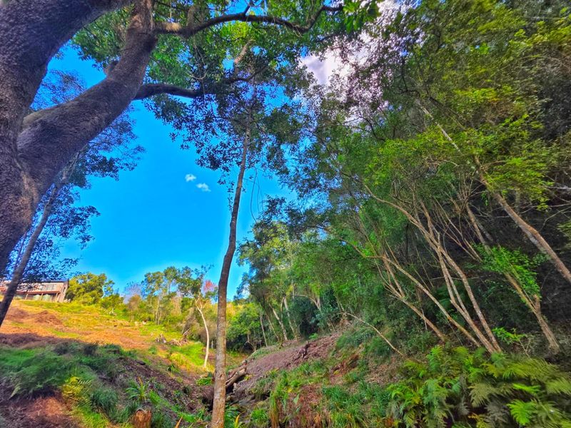 Prime Plot for Sale in Scenic Hoekwil Village - Photo 7