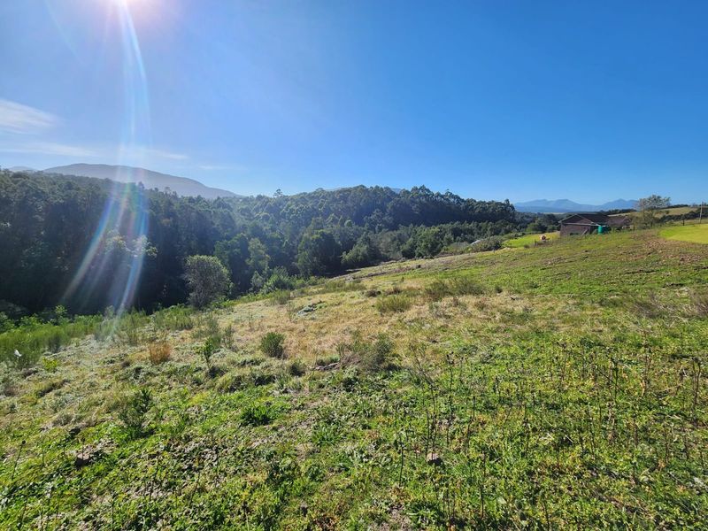 Prime Plot for Sale in Scenic Hoekwil Village - Photo 9