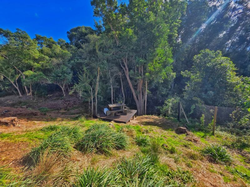 Prime Plot for Sale in Scenic Hoekwil Village - Photo 2