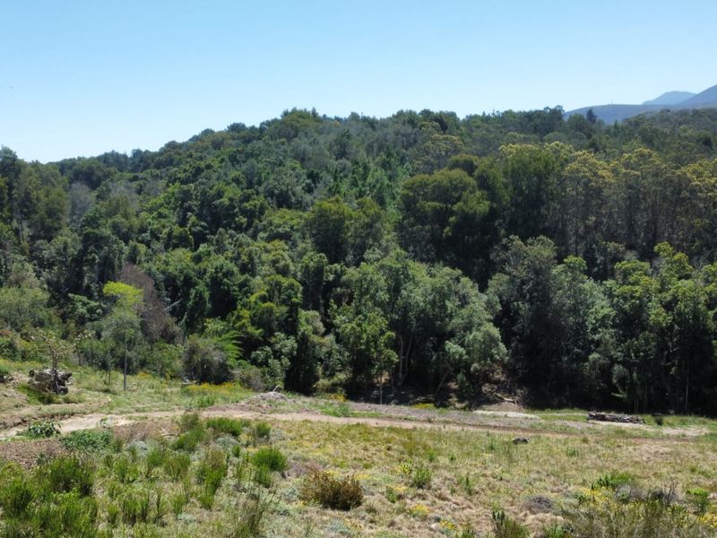 Prime Plot for Sale in Scenic Hoekwil Village - Photo 8