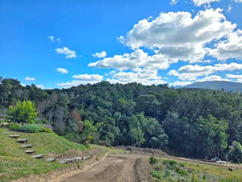 Prime Plot for Sale in Scenic Hoekwil Village - Photo 1