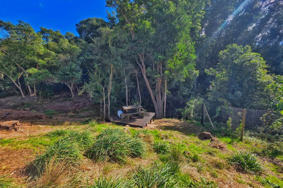 A natural, wooded garden area featuring a small wooden deck platform and perimeter chain-link fencing, set against a backdrop of mature trees.