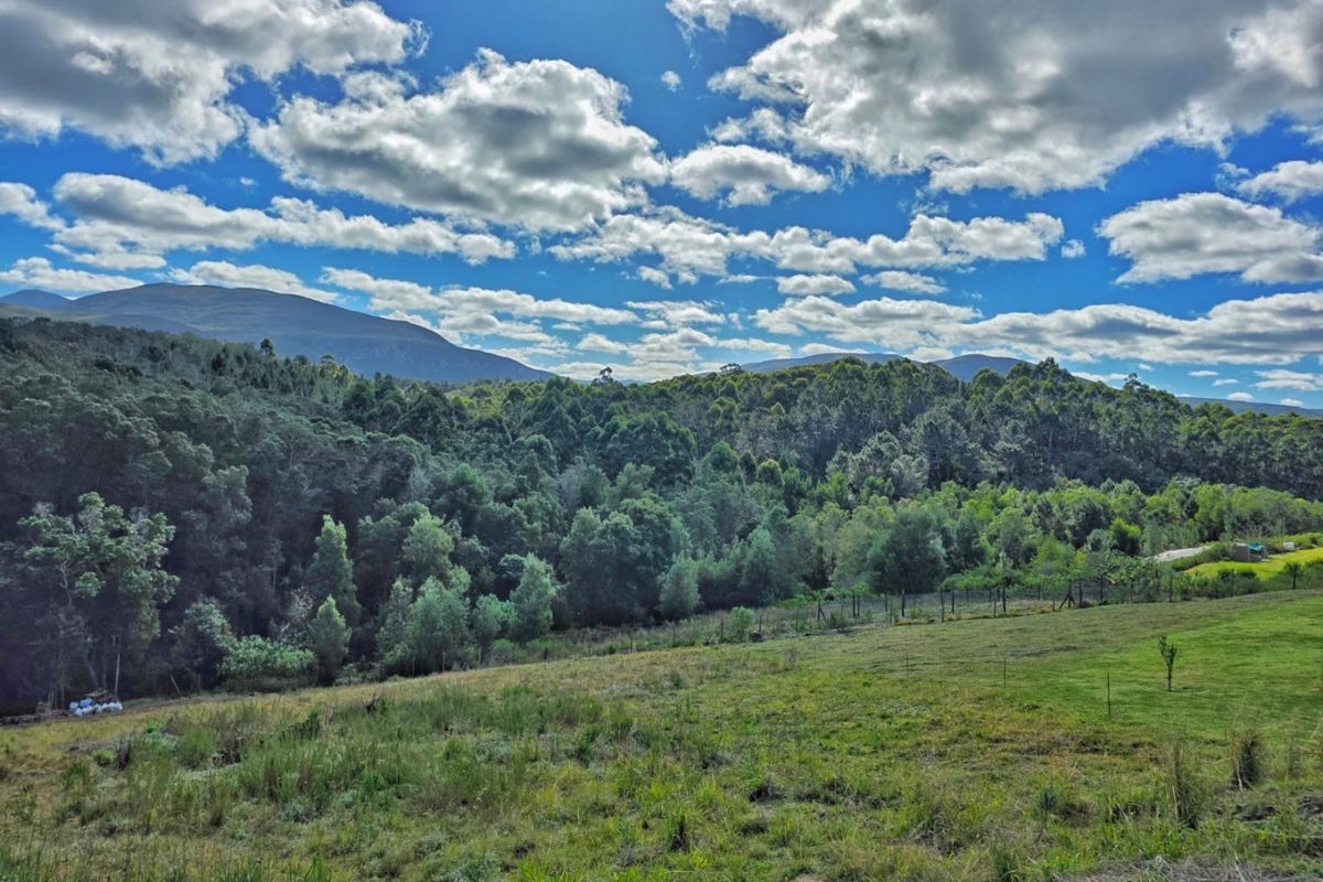 A scenic view of the vacant residential land featuring rolling green hills, dense forest, and distant mountain ranges under a bright blue sky.