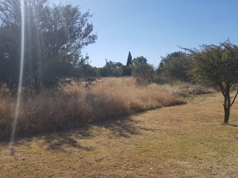 Large stand in La Hoff. Ideal for development. - Photo 10