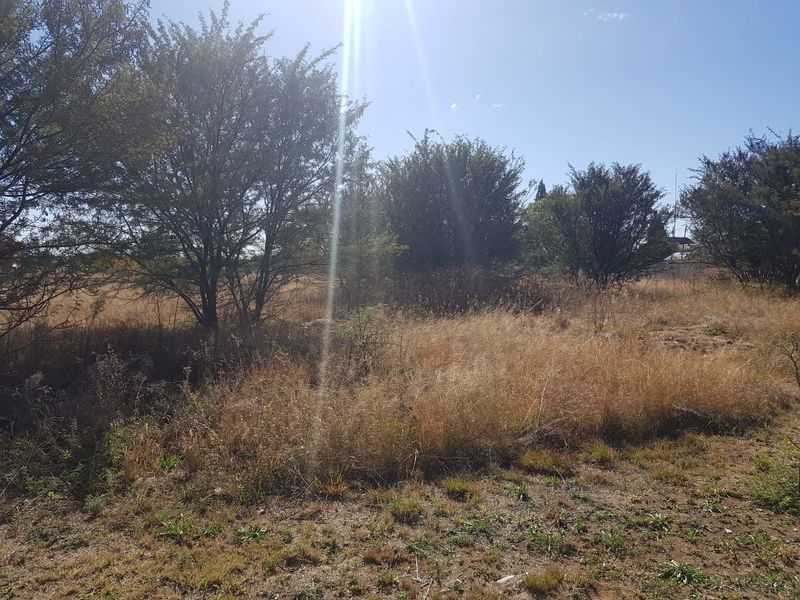 Large stand in La Hoff. Ideal for development. - Photo 6