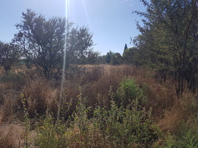 Large stand in La Hoff. Ideal for development. - Photo 5