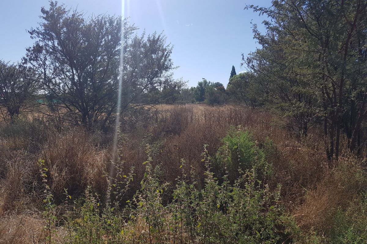 A view of the vacant residential land featuring mature trees and natural vegetation.