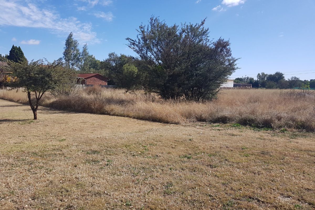 A view of a vacant residential plot featuring established trees and dry grass, offering a blank canvas for future development.