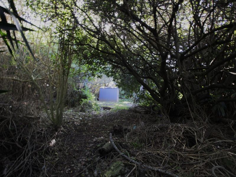 Nature at your doorstep - Photo 4