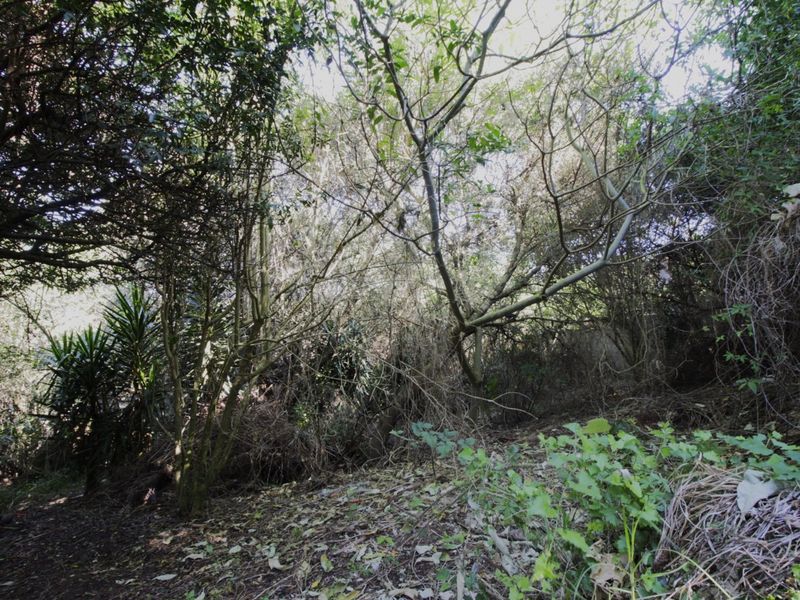 Nature at your doorstep - Photo 6