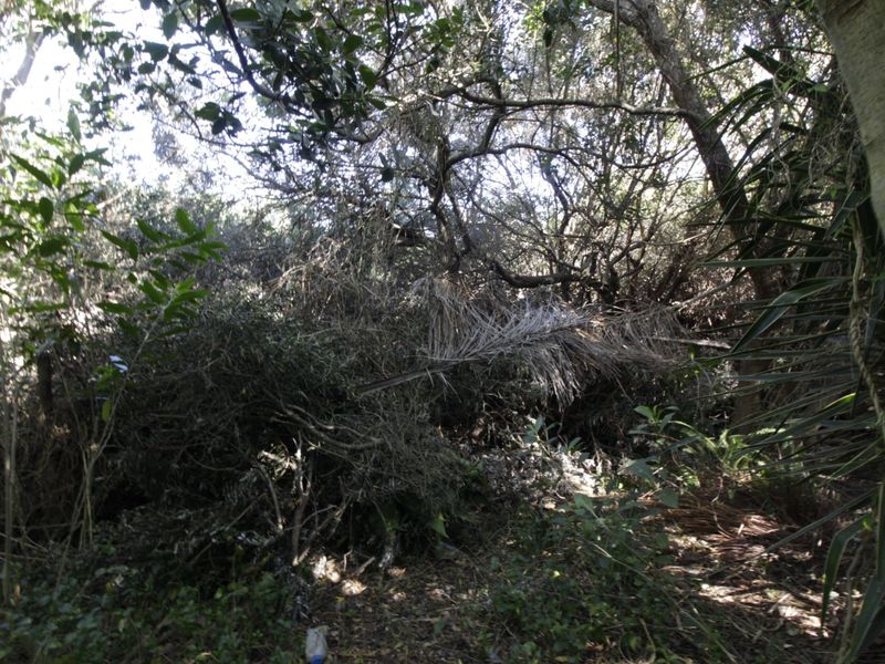 Nature at your doorstep - Photo 2