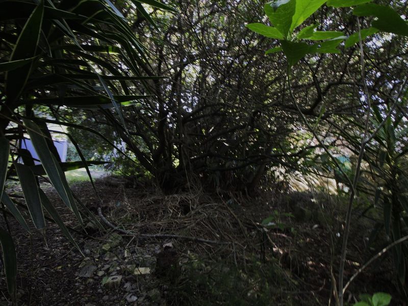 Nature at your doorstep - Photo 3