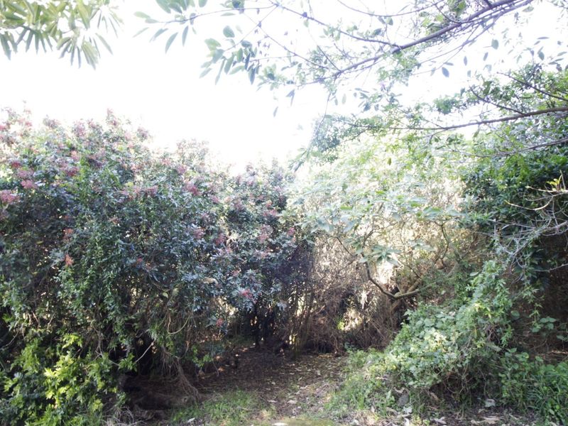 Nature at your doorstep - Photo 1