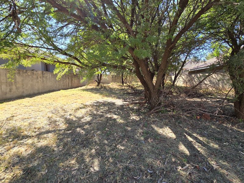 Woodpecker Creek. Build your dream home on this private stand (already walled on 3 sides). Don't miss out on this rare opportunity to create your own oasis! - Photo 2