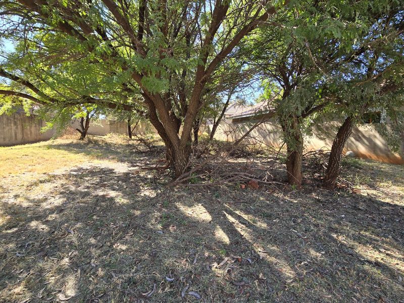 Woodpecker Creek. Build your dream home on this private stand (already walled on 3 sides). Don't miss out on this rare opportunity to create your own oasis! - Photo 5