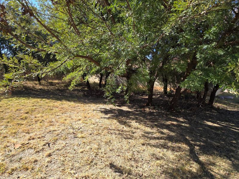 Woodpecker Creek. Build your dream home on this private stand (already walled on 3 sides). Don't miss out on this rare opportunity to create your own oasis! - Photo 6