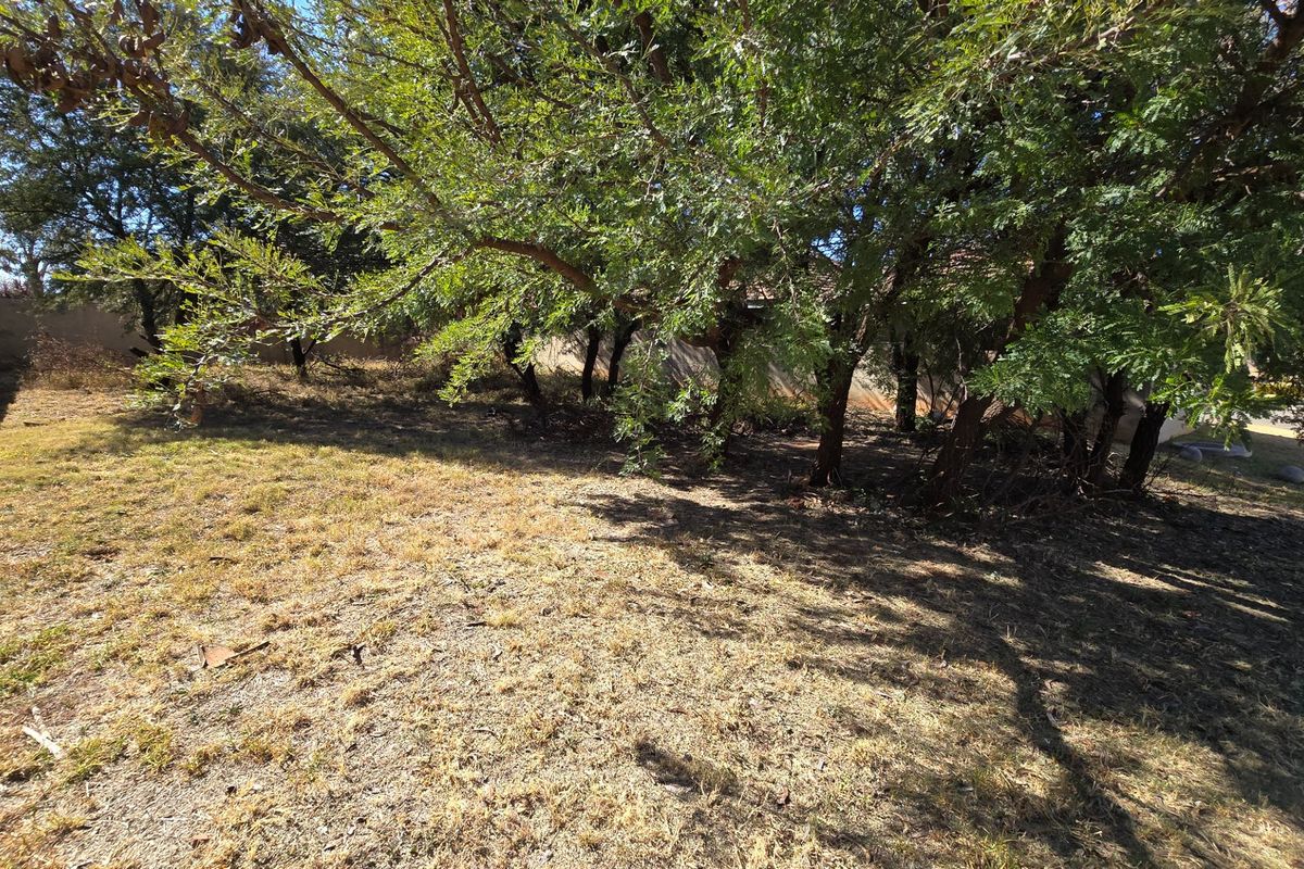 Woodpecker Creek. Build your dream home on this private stand (already walled on 3 sides). Don't miss out on this rare opportunity to create your own oasis! - Photo 4