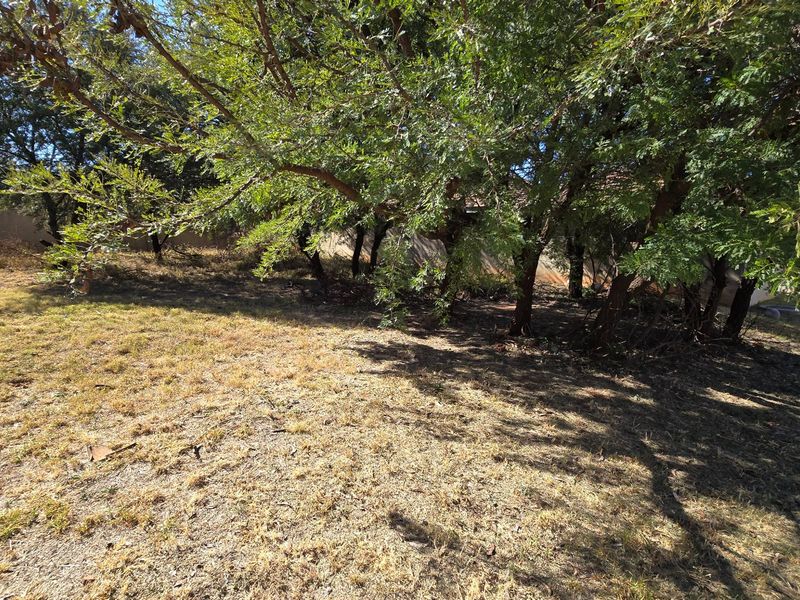 Woodpecker Creek. Build your dream home on this private stand (already walled on 3 sides). Don't miss out on this rare opportunity to create your own oasis! - Photo 4