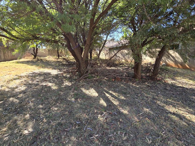 Woodpecker Creek. Build your dream home on this private stand (already walled on 3 sides). Don't miss out on this rare opportunity to create your own oasis! - Photo 3