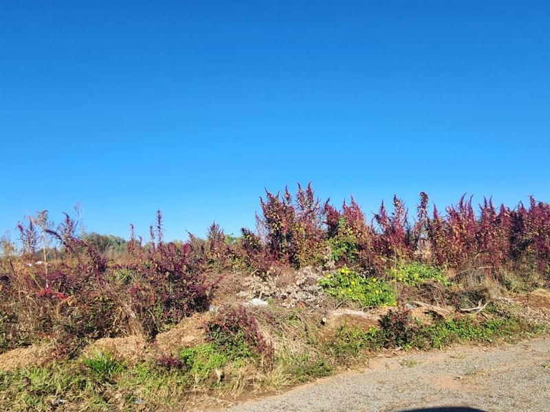 Excellent opportunity to build your own home to your design and specification - Photo 2