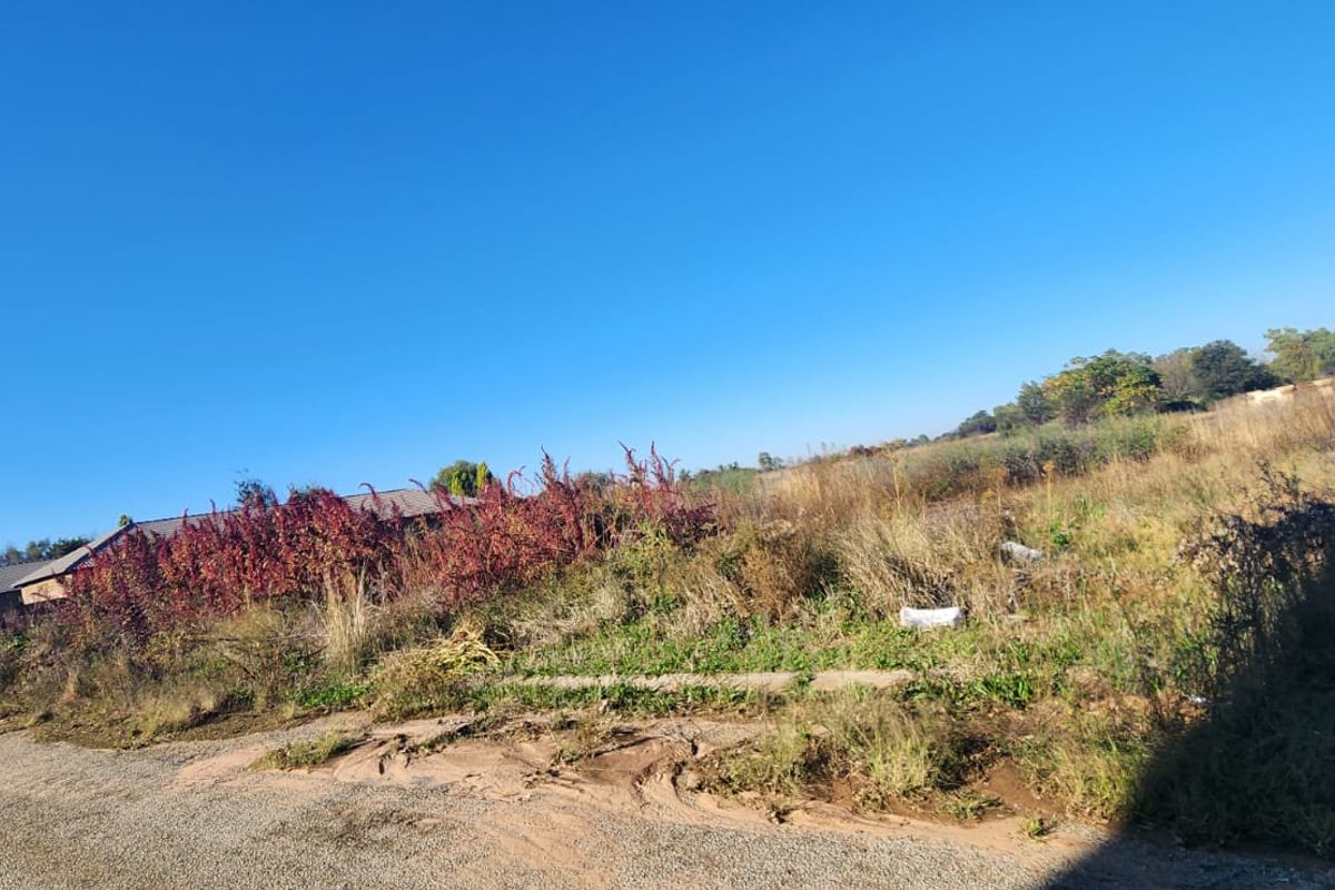 A view of the street frontage and adjacent vacant residential land, showing natural vegetation and access from the paved road.