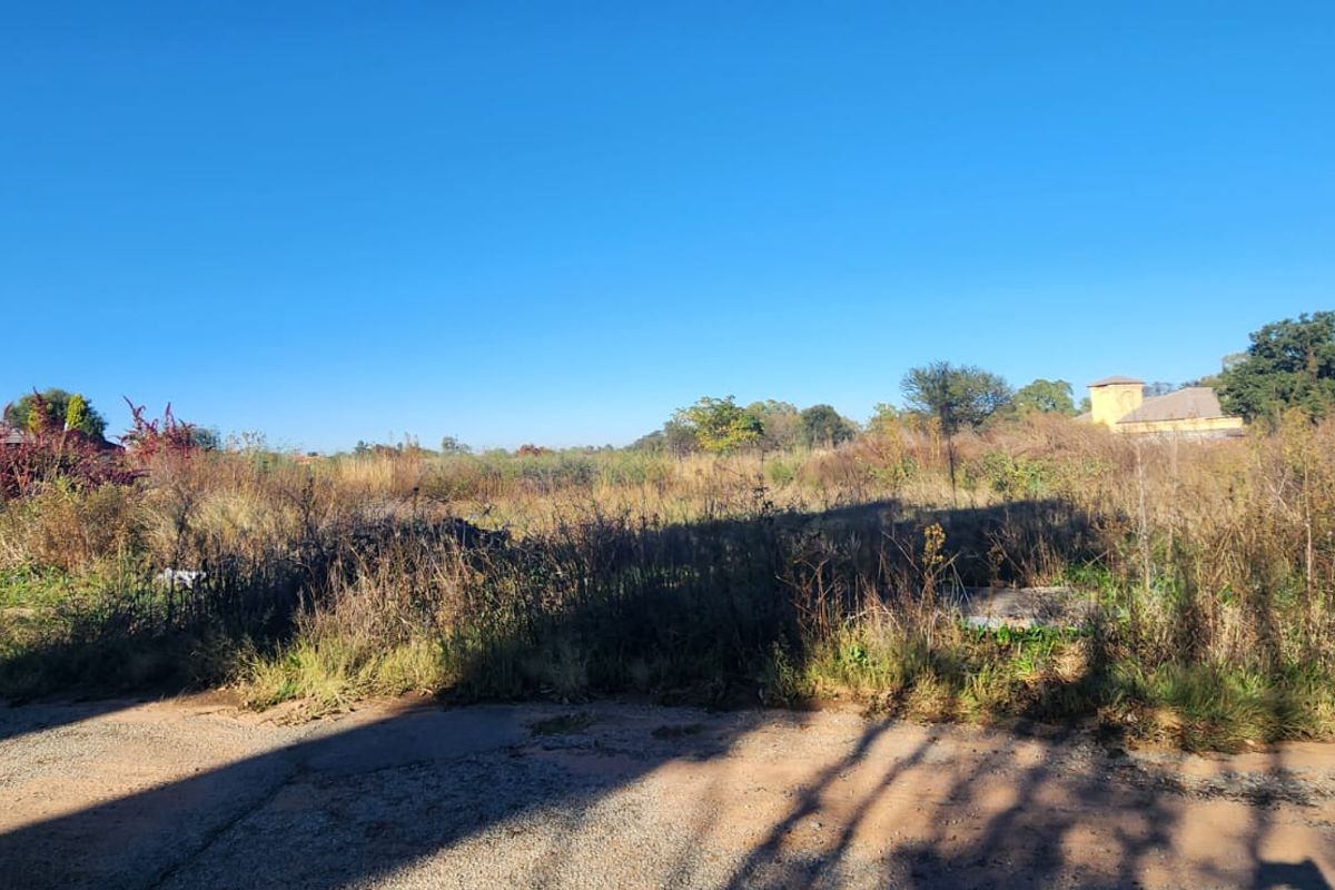 A view of an undeveloped residential vacant plot featuring overgrown natural vegetation and direct street access.