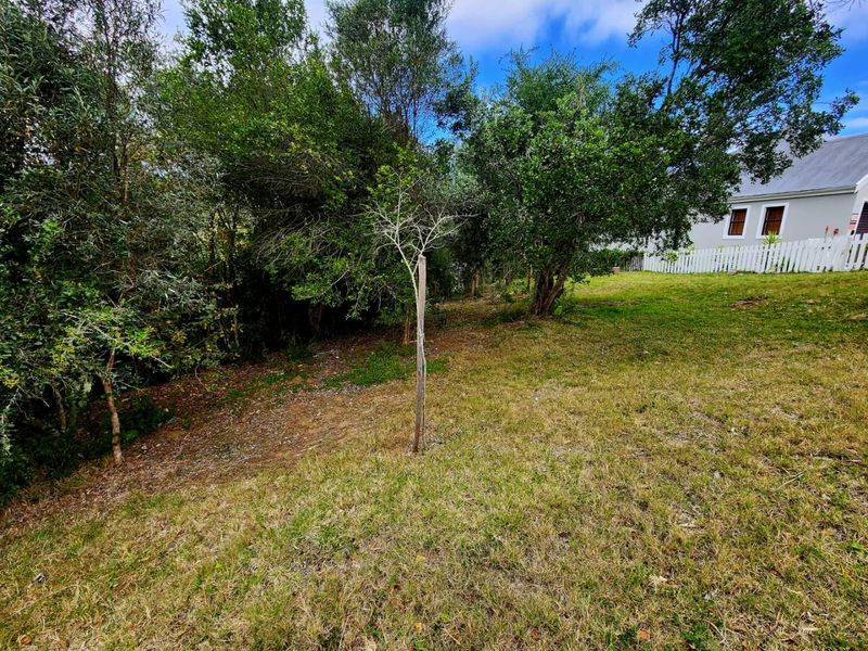 Vacant Stand in Green Pastures Estate  - Photo 9