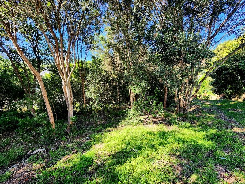 Vacant Stand in Green Pastures Estate  - Photo 7