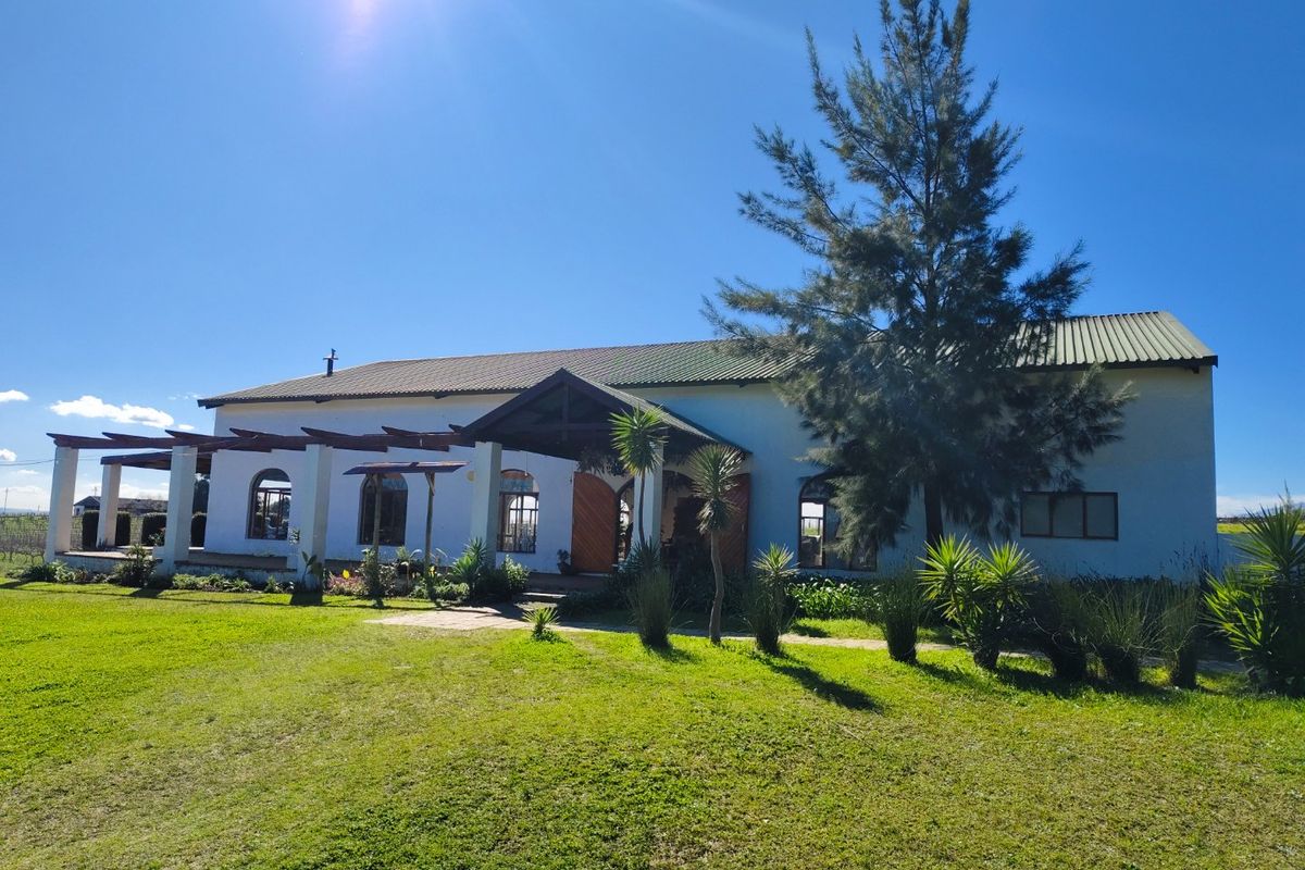 Wedding venue facility in the winelands - Photo 4