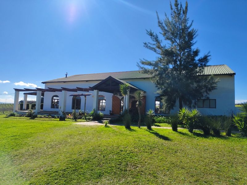 Wedding venue facility in the winelands - Photo 6