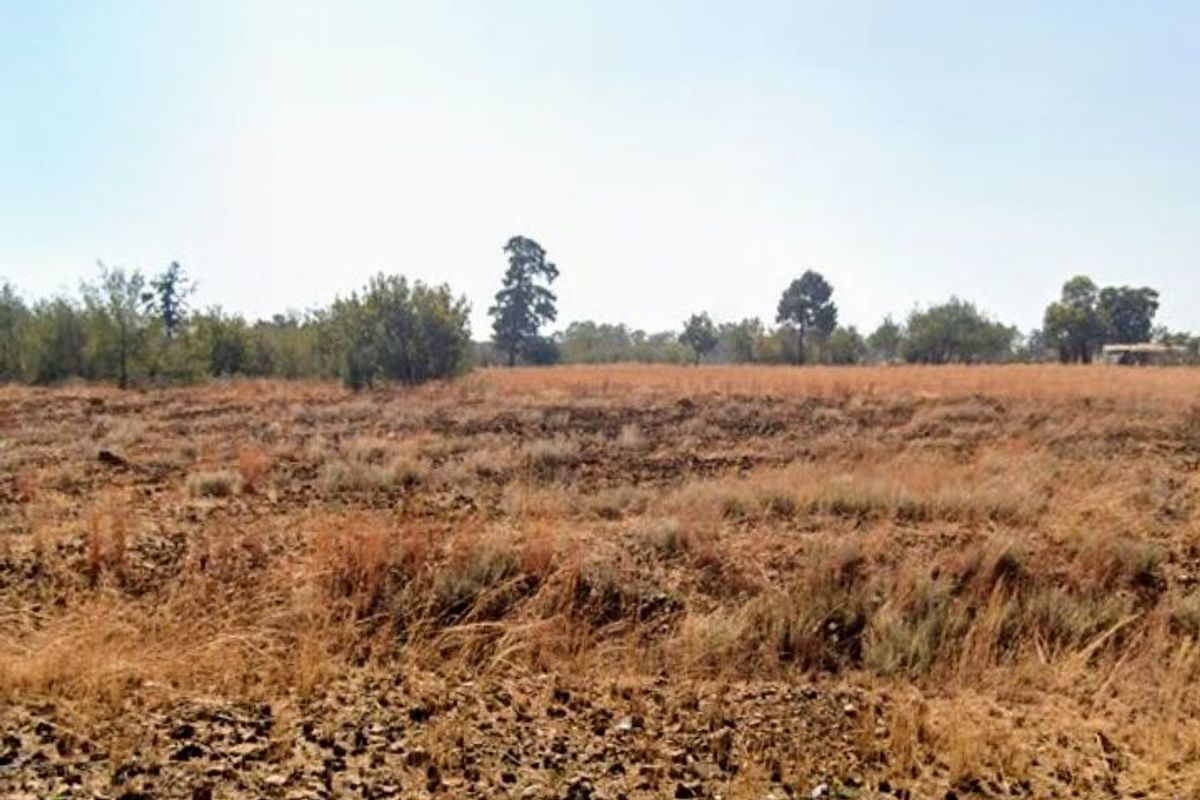 Vacant Land For Sale In Homestead Apple Orchards  - Photo 2