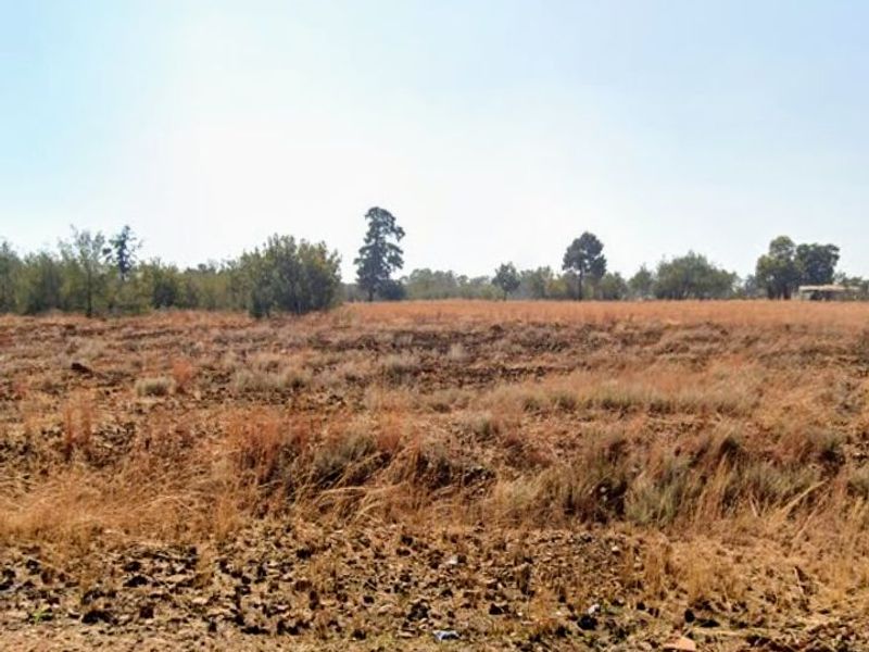 Vacant Land For Sale In Homestead Apple Orchards  - Photo 2