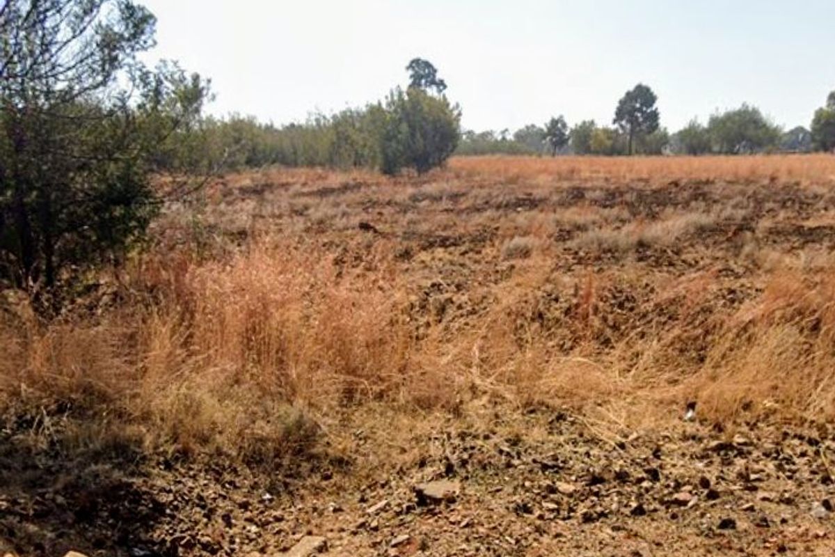 Vacant Land For Sale In Homestead Apple Orchards  - Photo 3