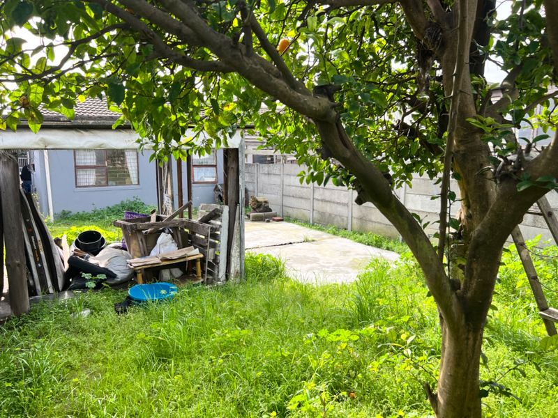 TWO BEDROOM HOUSE FOR SALE IN PEERLESS PARK WEST - Photo 10